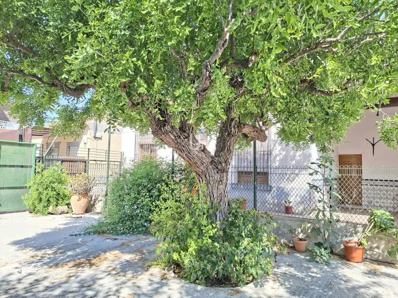 Jardín de Finca rústica en venta en Murcia con Aire acondicionado, Jardín privado y Piscina