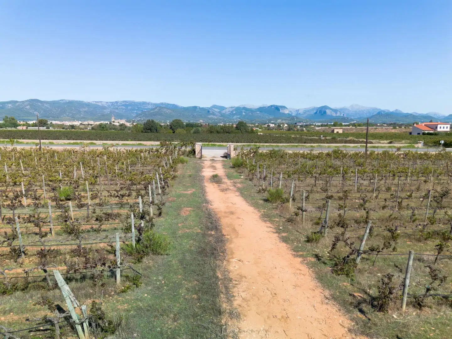 Terreno rustico in vendita a Camino POLIGONO 5, imagen 2