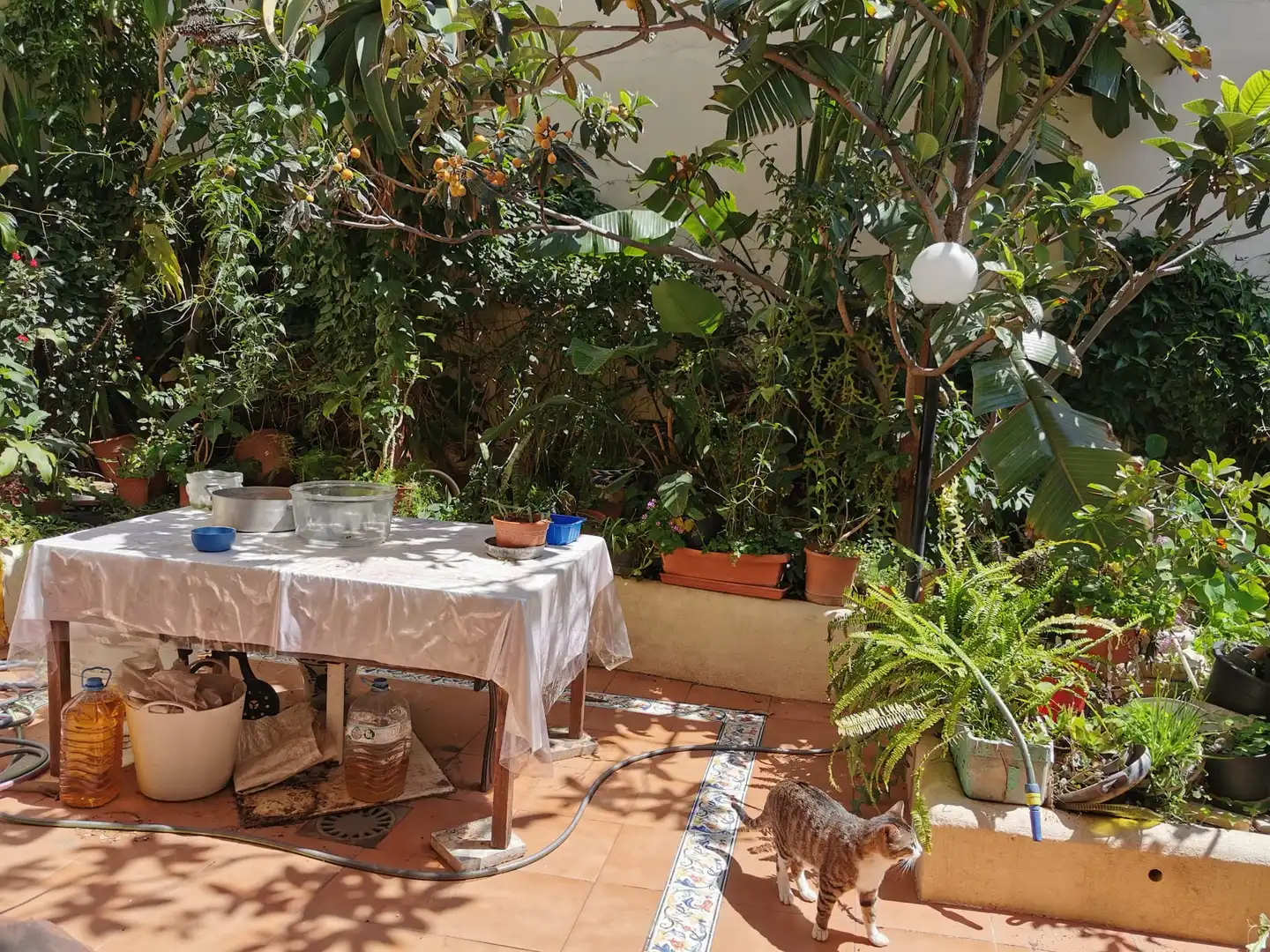 Villa mit Garten zum Verkauf in Calle Almuñecar