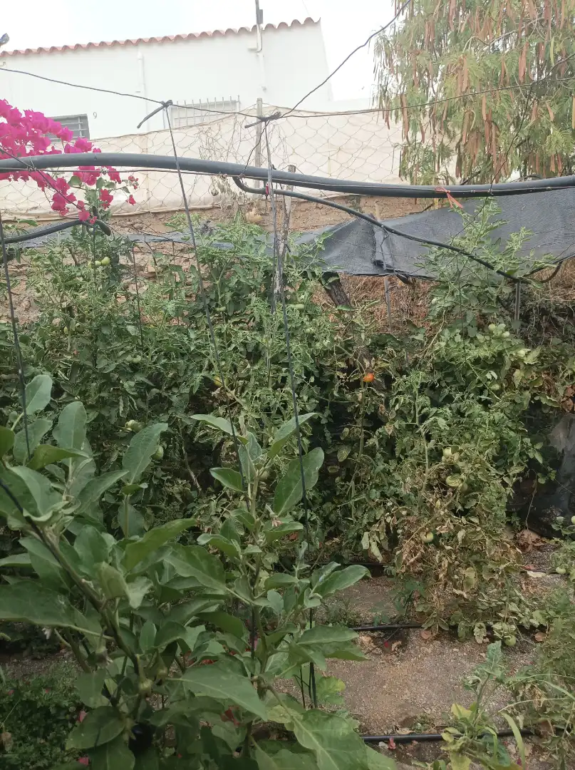 Adossat amb jardí en venda a Dalías, imagen 4
