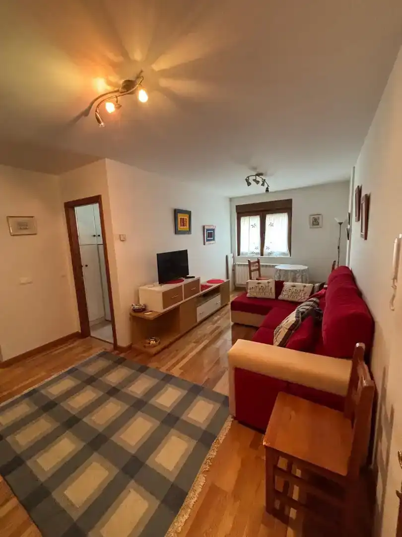 Sala d'estar de Pis de lloguer en Camaleño amb Jardí privat, Parquet i Moblat