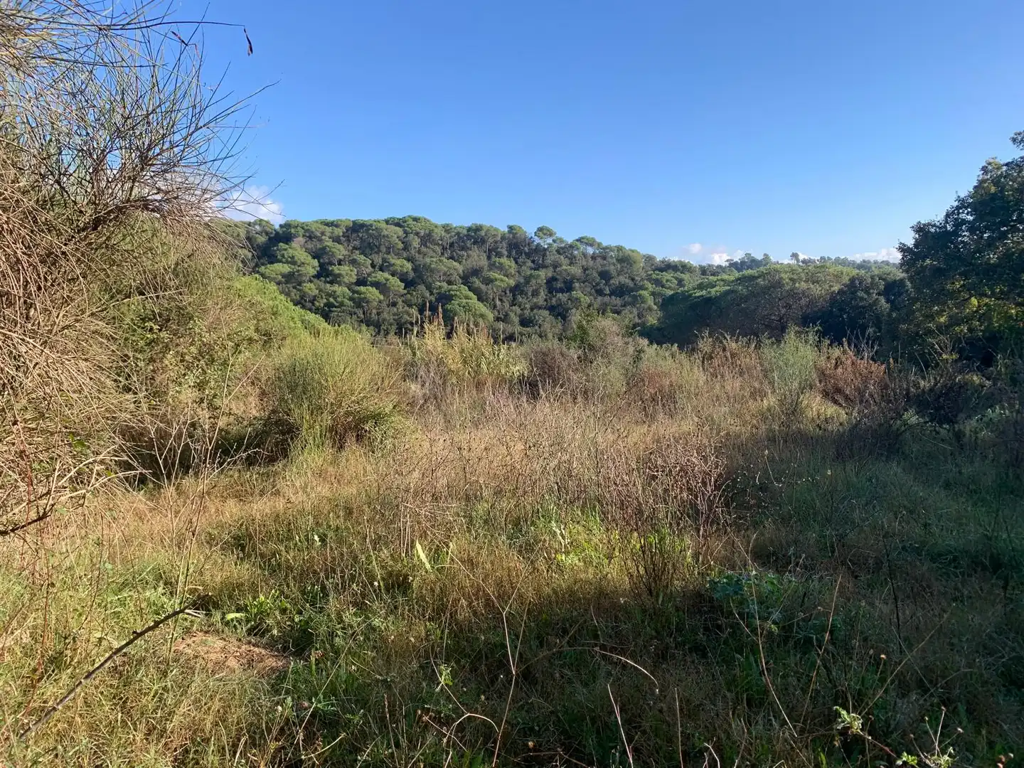 Terreno residencial en venta en Carrer del Xaloc 25, imagen 18