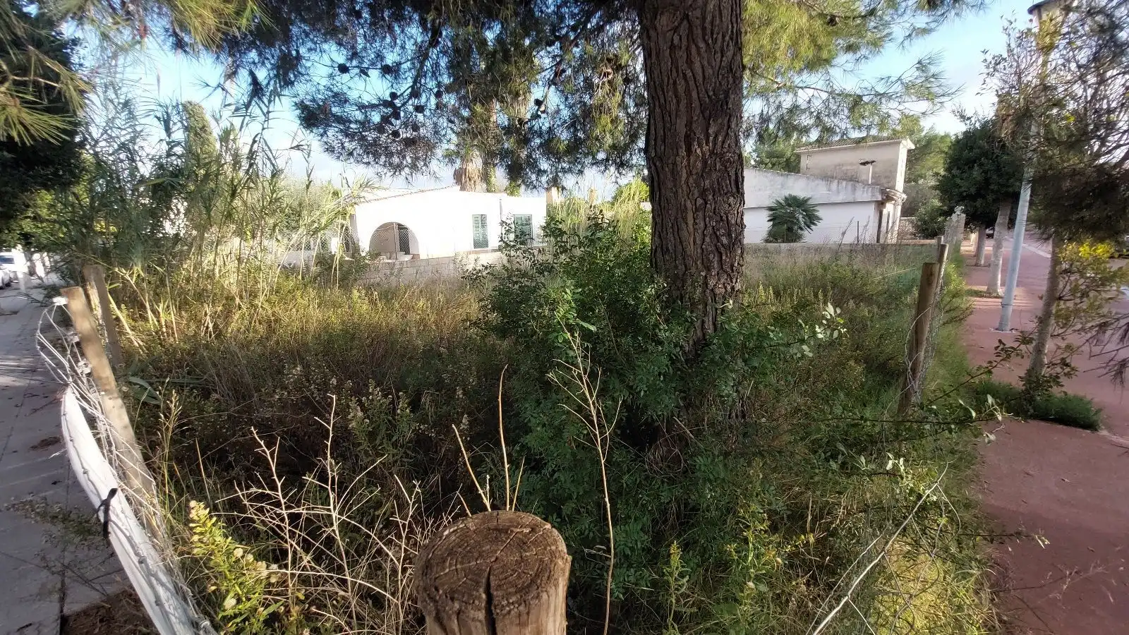 Terreny residencial en venda a Port d'Alcúdia - Platja d'Alcúdia, imagen 4