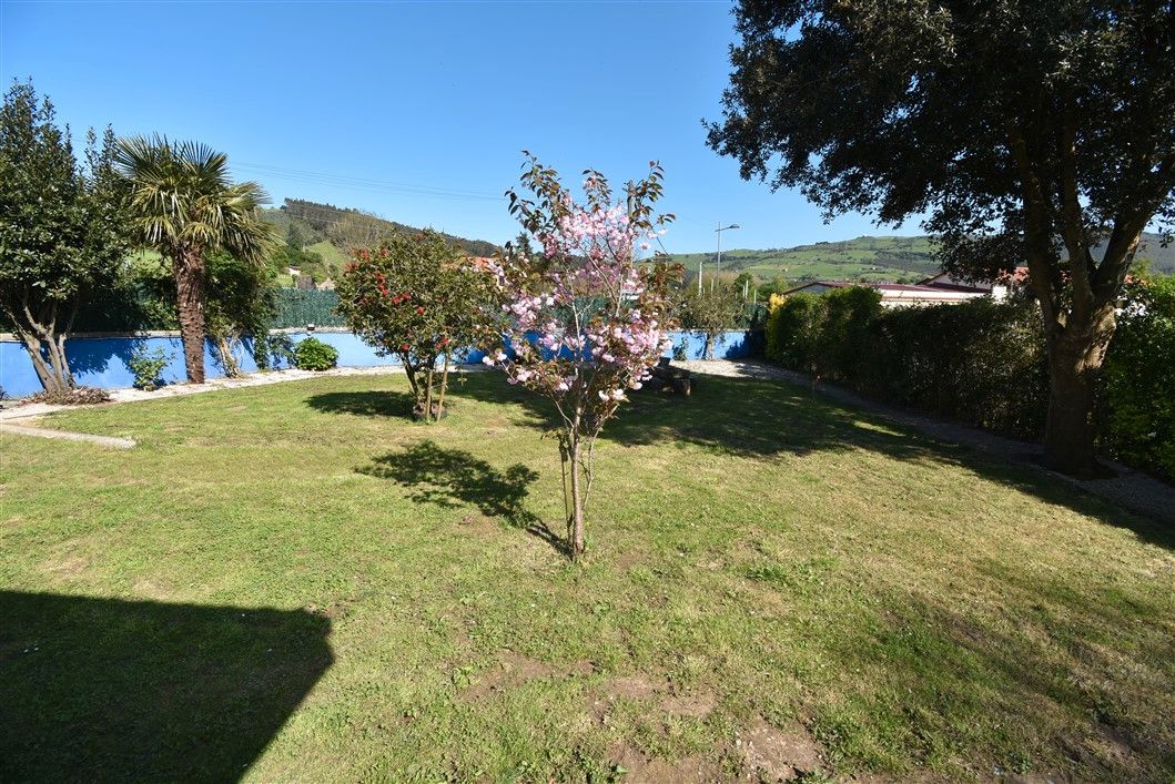 Jardí de Casa o xalet en venda en Solórzano amb Calefacció, Jardí privat i Moblat