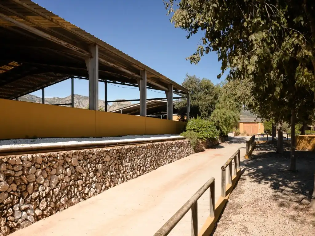 House for sale in Camí Pla de Lloret, imagen 7