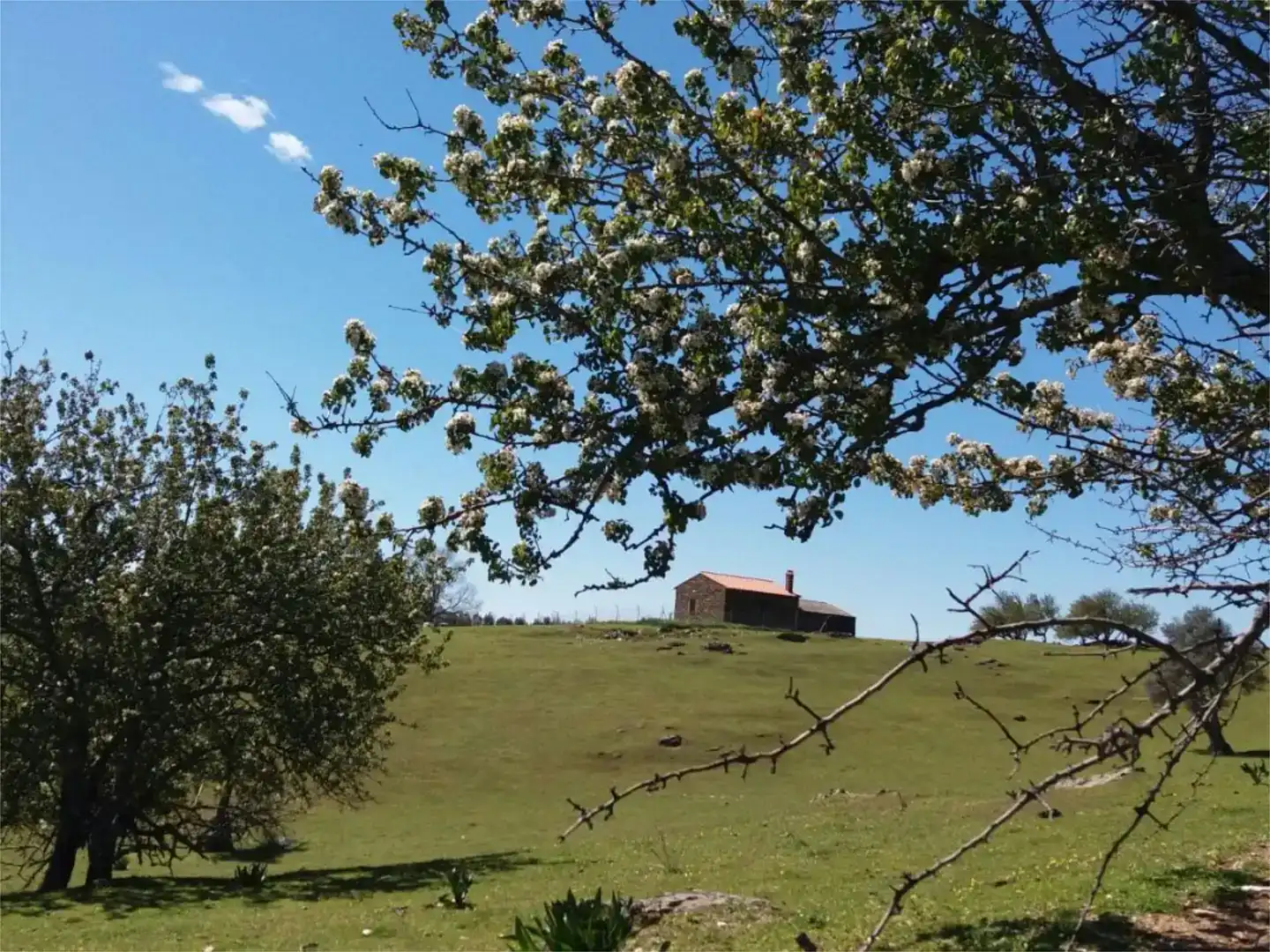 Terreno en venta en Serradilla