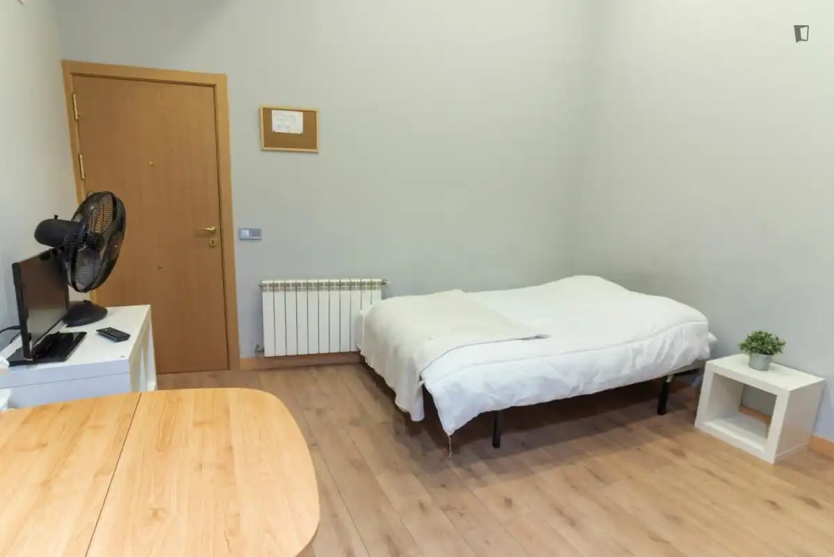 Estudio en alquiler en Centro, imagen 3