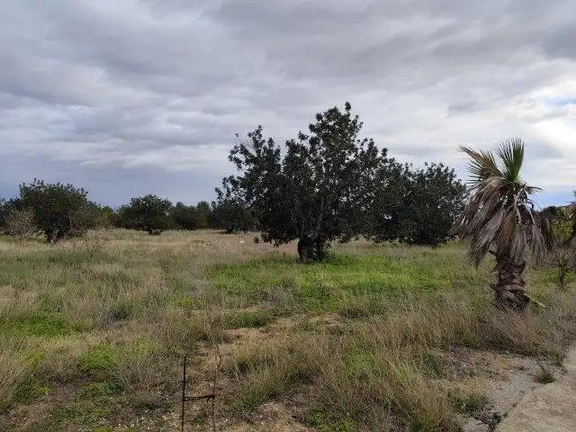Finca rústica en venta en Cheste