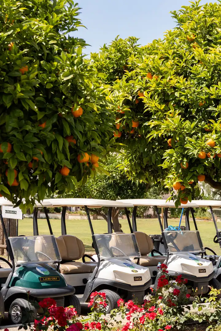 Casa o xalet en venda a Buenavista - Lauro Golf