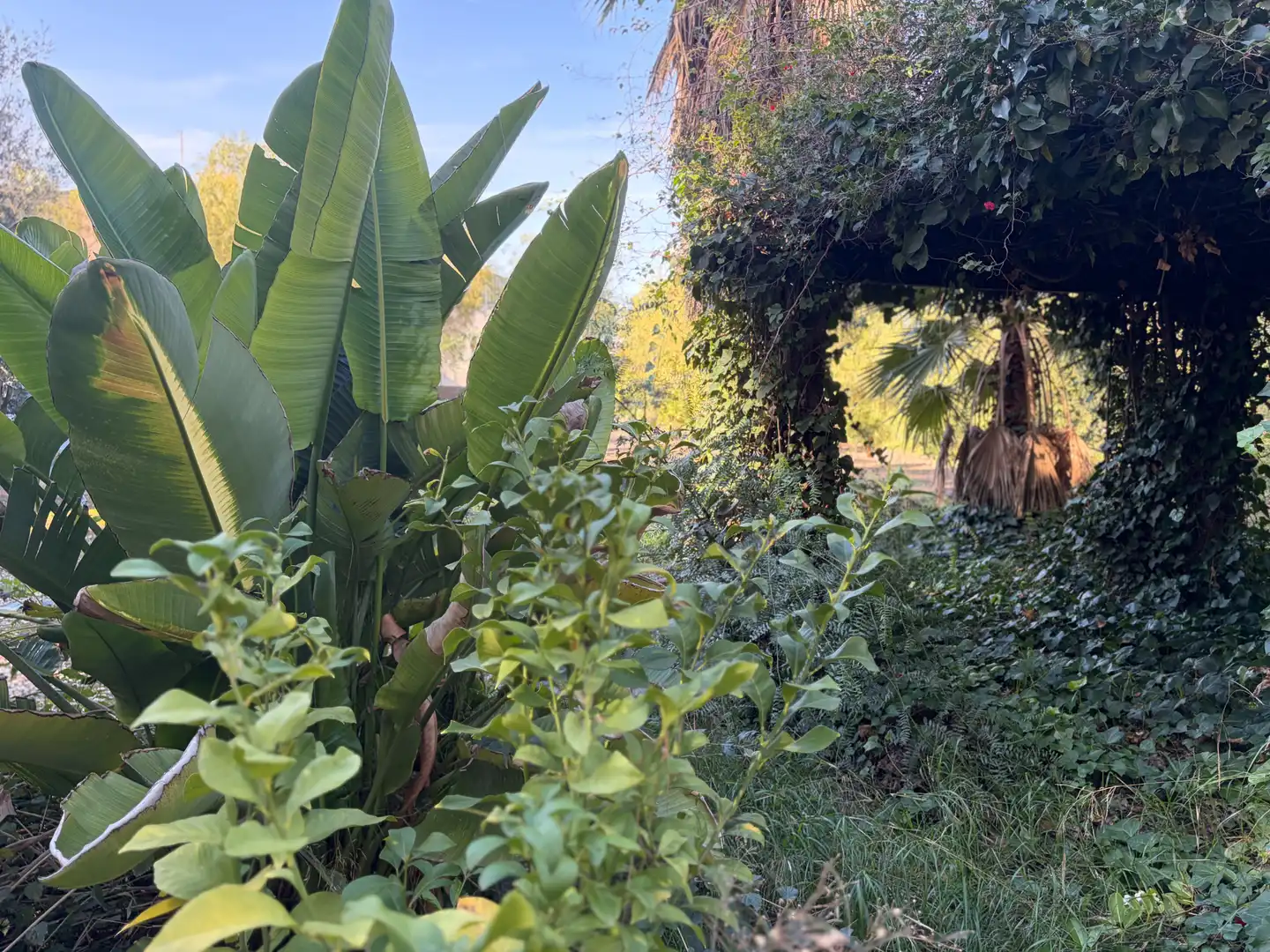 Lands and plots for sale in Abanilla, imagen 25