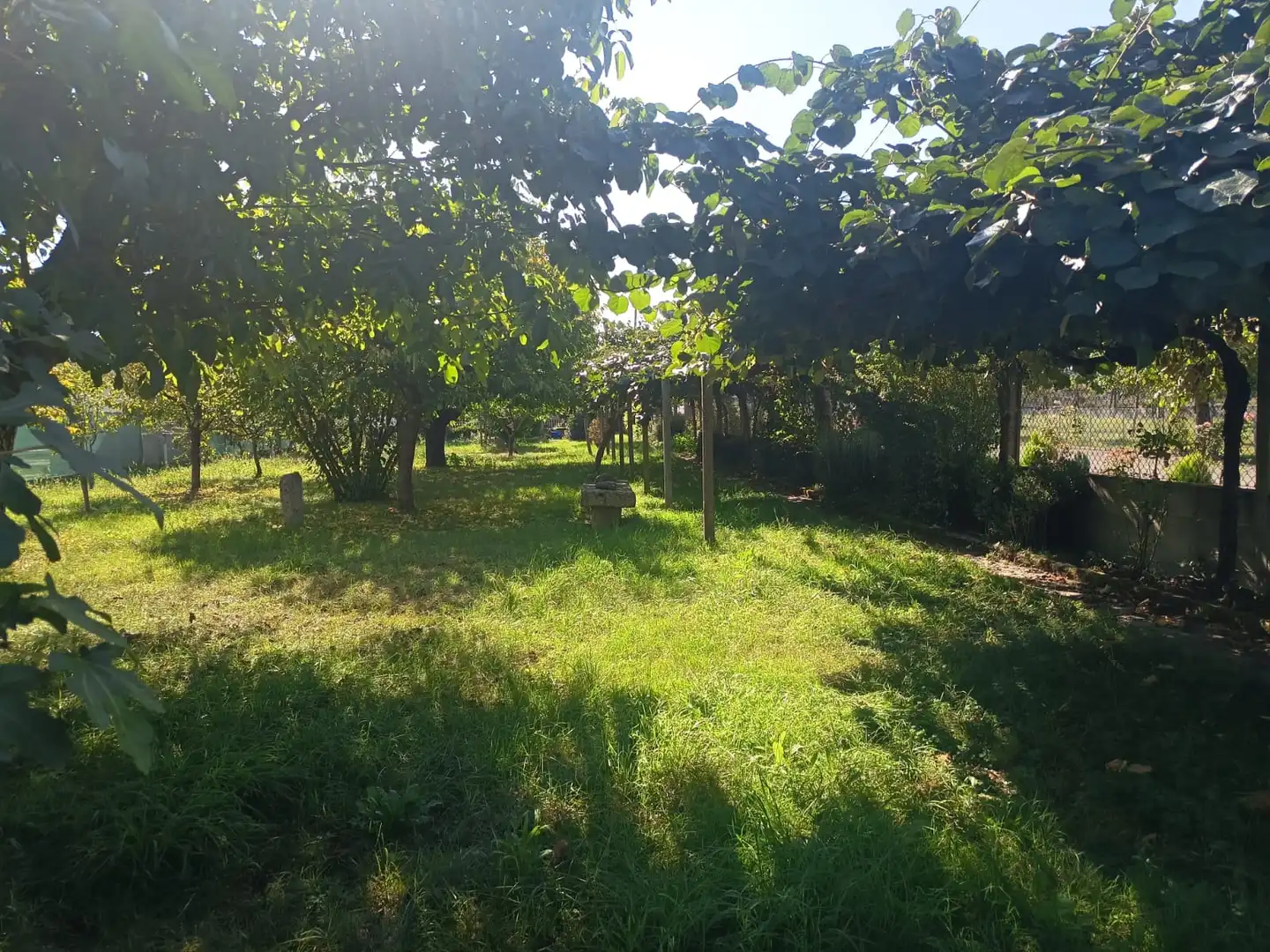 Residential land for sale in Monforte de Lemos, imagen 4