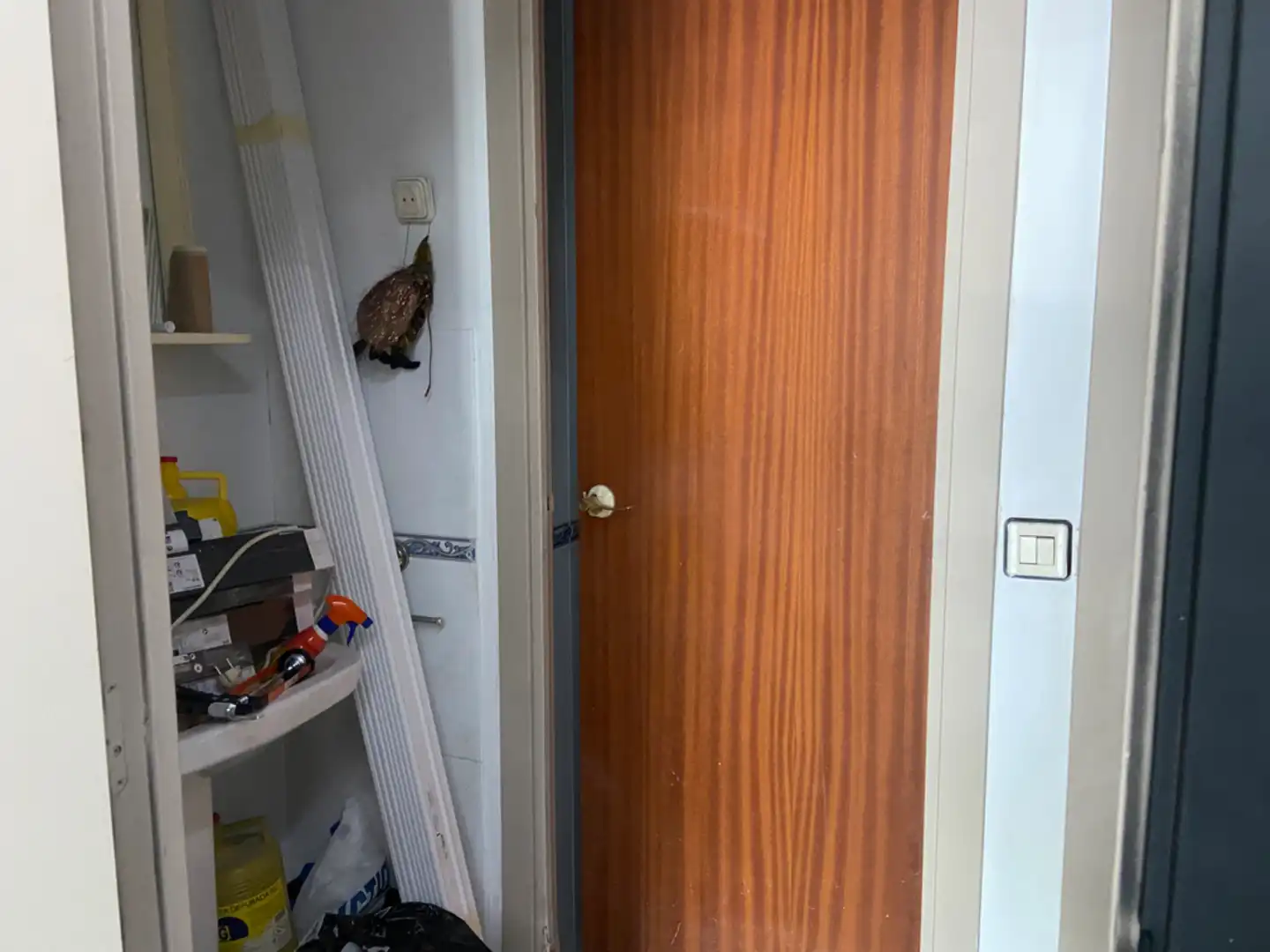 Gewerbefläche zum Verkauf in L'Estany, imagen 16