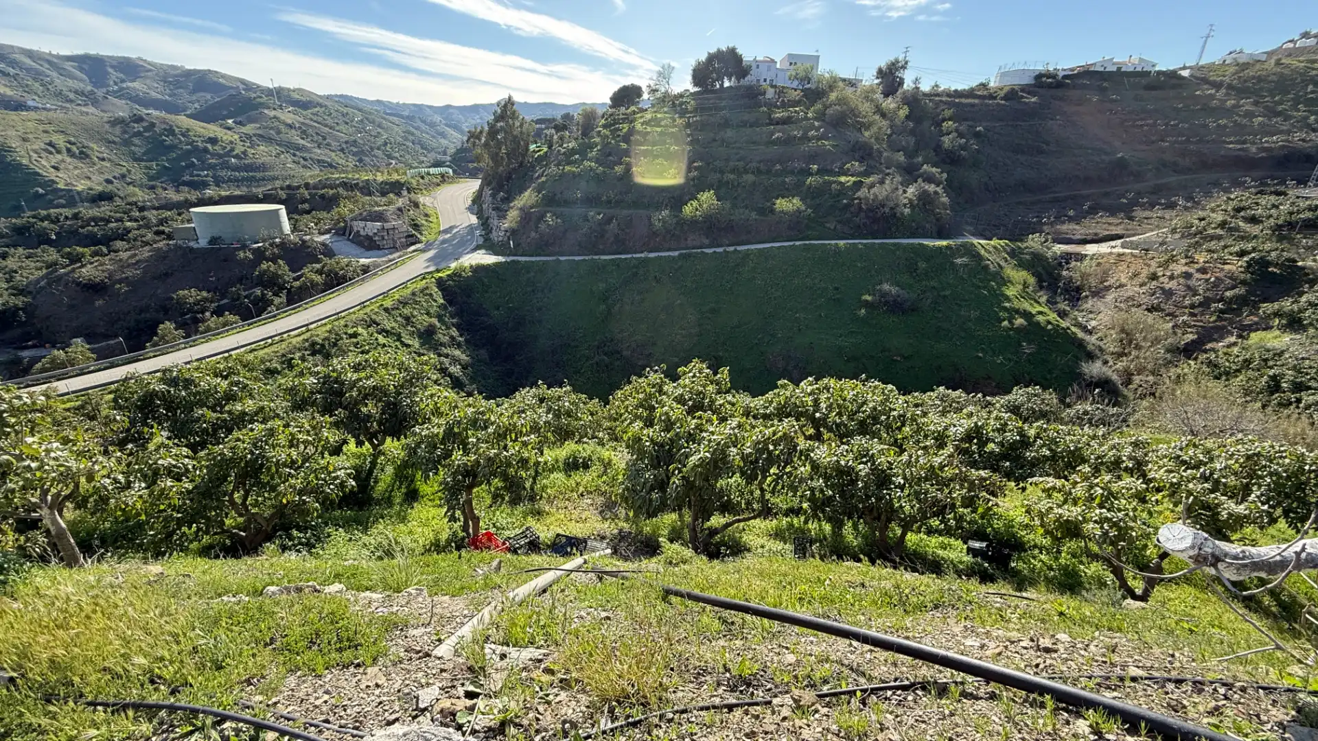 Vista exterior de Finca rústica en venta en Almáchar con Piscina y Amueblado