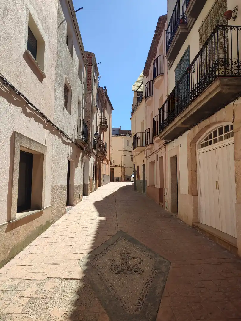 Vista exterior de Casa adosada en venda en Ulldemolins amb Calefacció, Jardí privat i Parquet