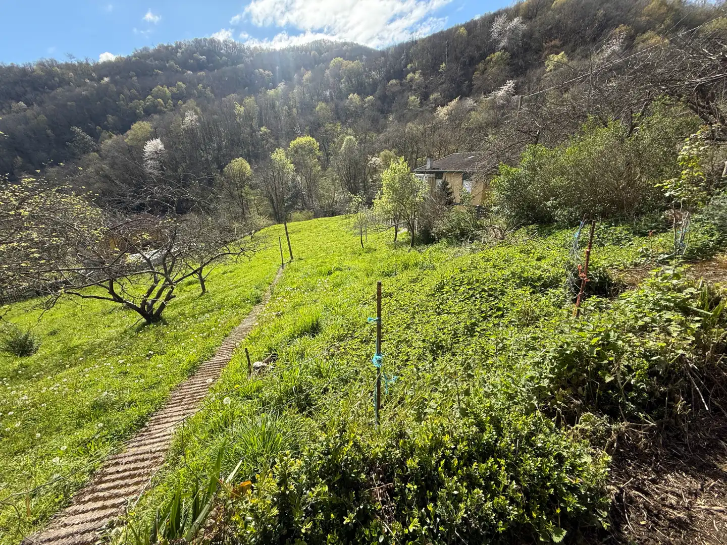 Casa o chalet en venta en Mieres (Asturias) con Jardín privado y Balcón