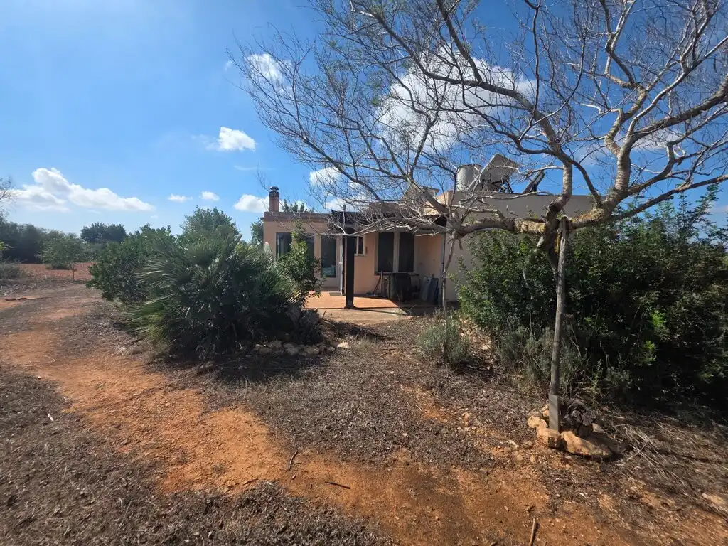 Casa rústica en venda a Llucmajor pueblo, imagen 3