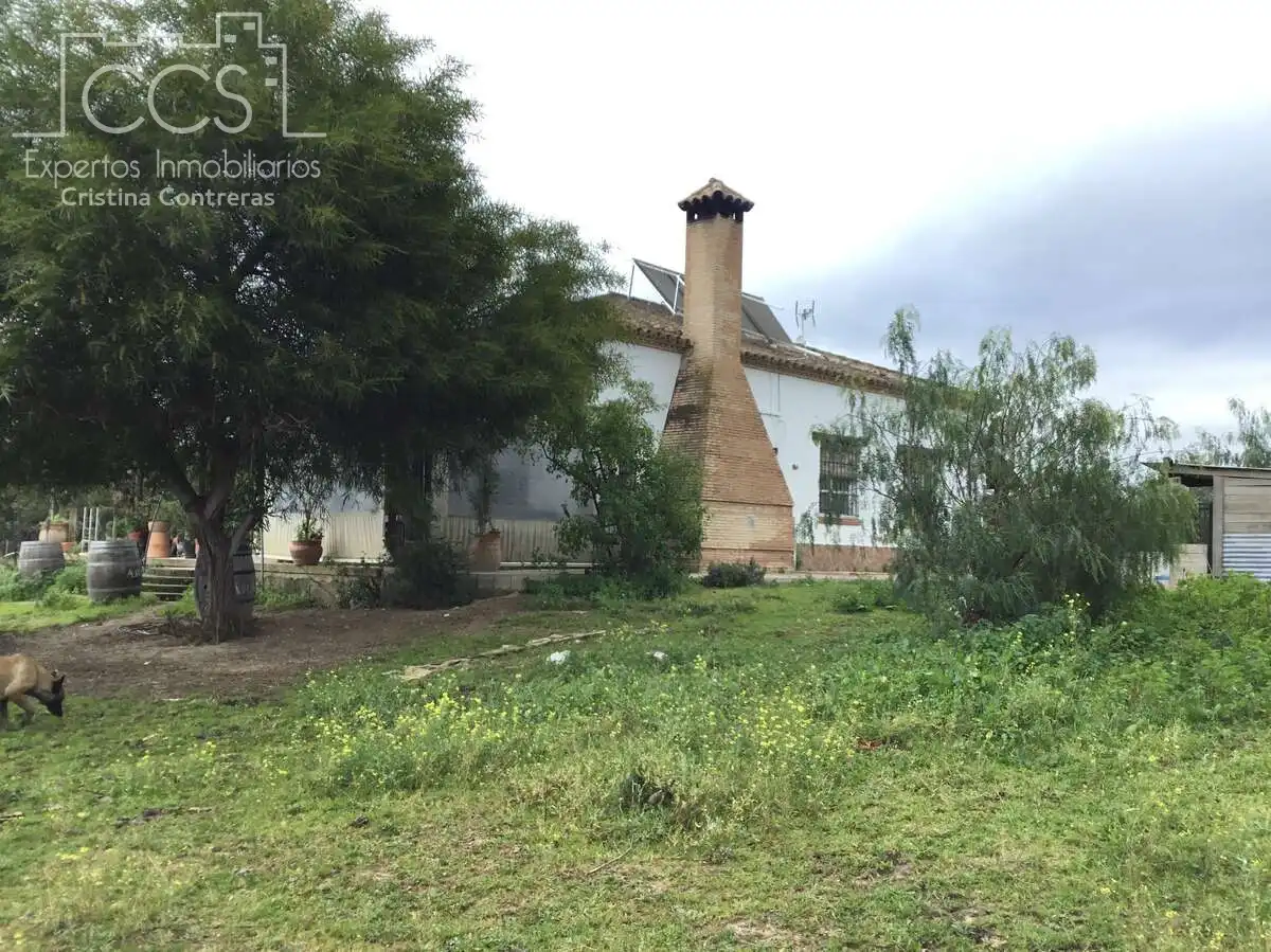 Casa rústica con piscina en venta en Almonte ciudad, imagen 8