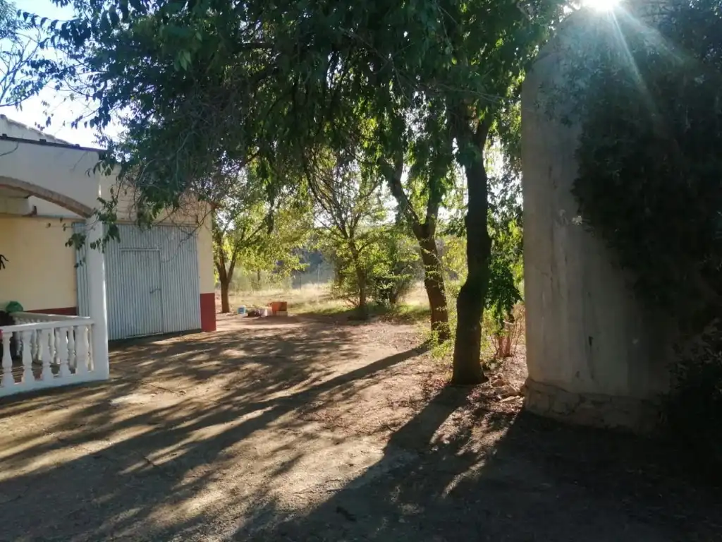 Casa rústica amb piscina en venda a Argamasilla de Calatrava, imagen 11