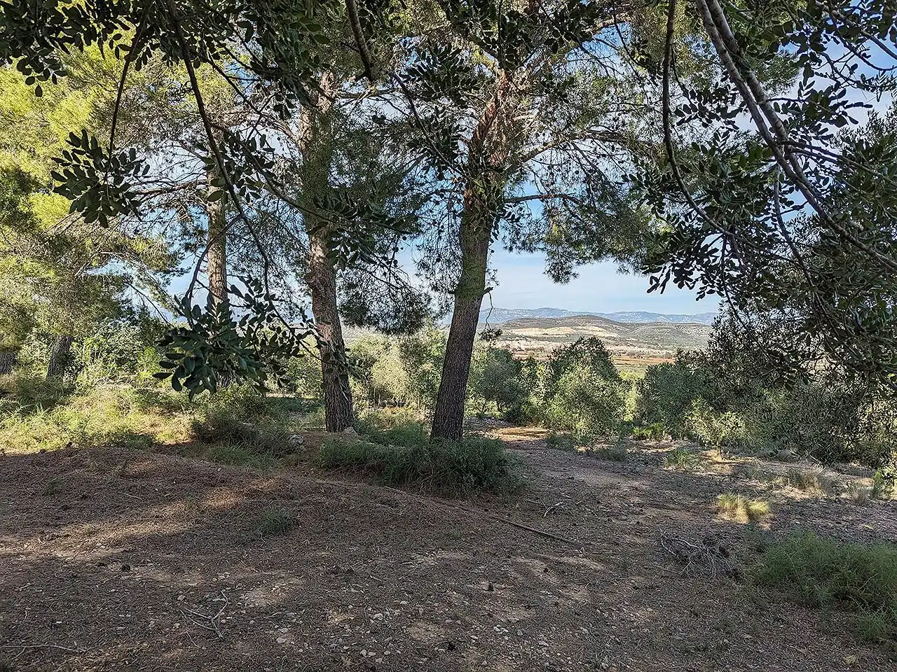 Casa rústica en venta en Ulldecona, imagen 22