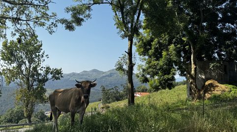 Foto 4 de Casa o chalet en venta en Secadura - Secadura, Voto, Cantabria