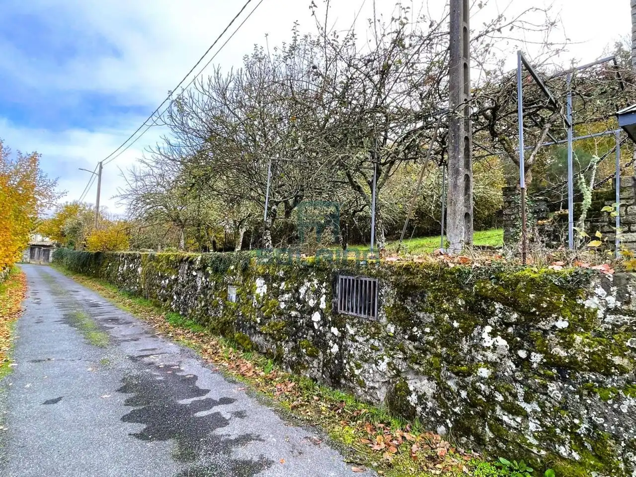 Vista exterior de Casa o chalet en venta en Baños de Molgas con Calefacción y Jardín privado
