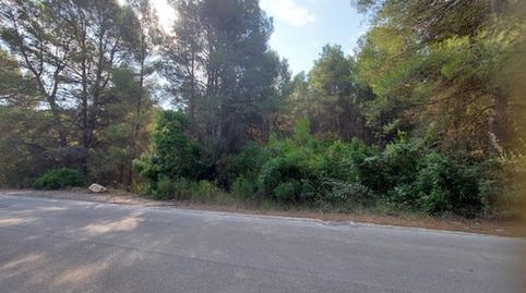Foto 5 de Terreno en venta en Ptda Casalaes, Pol 27, Partides comunes - Adsubia, Jávea / Xàbia