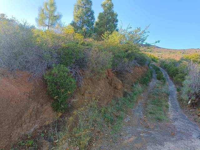 Terreno en Venta en  ARAFO en Arafo