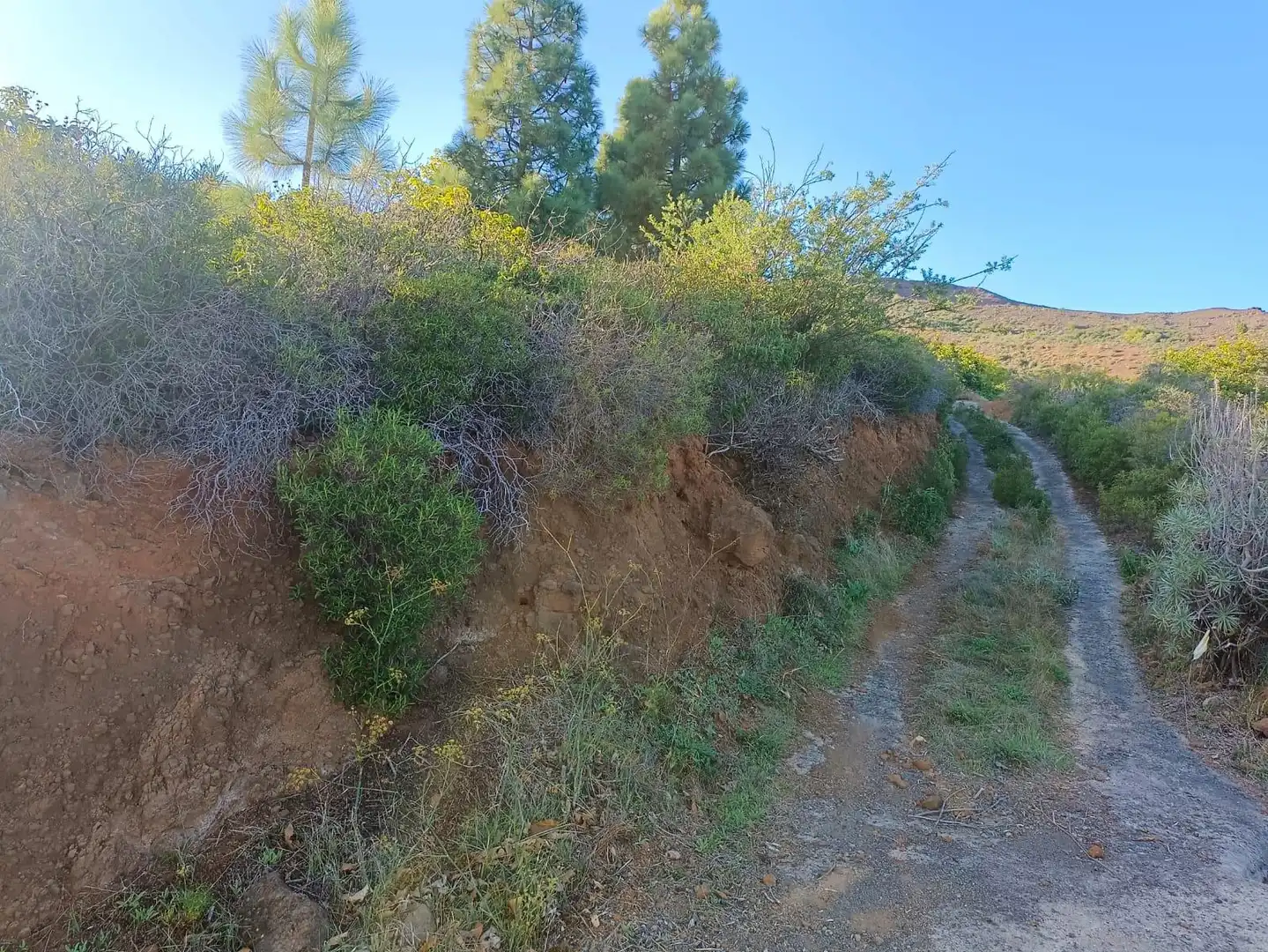 Rural land for sale in ARAFO