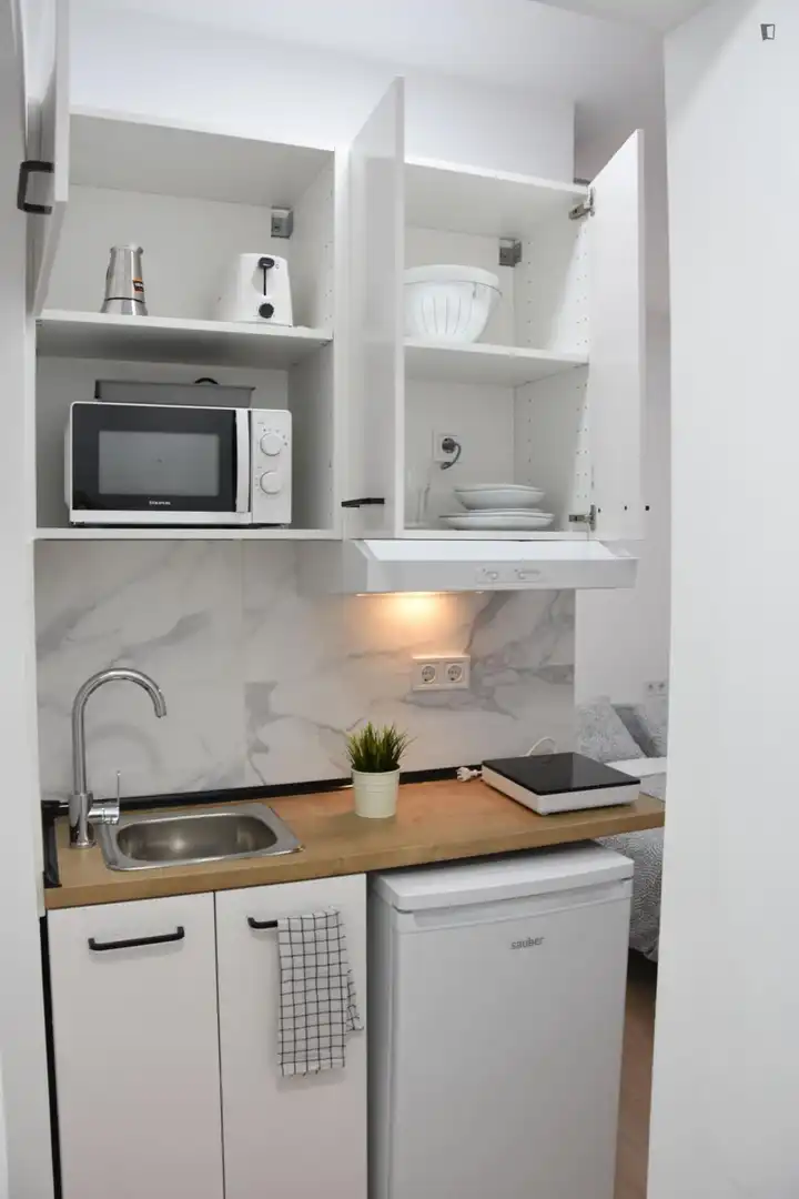 Studio zur Miete in Centro, imagen 3