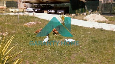 Foto 3 de Terreny industrial en venda a La Cañada, Cáceres