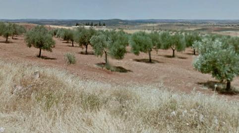 Foto 4 de Terreno en venta en Calle Bolos, 29, Génave, Jaén