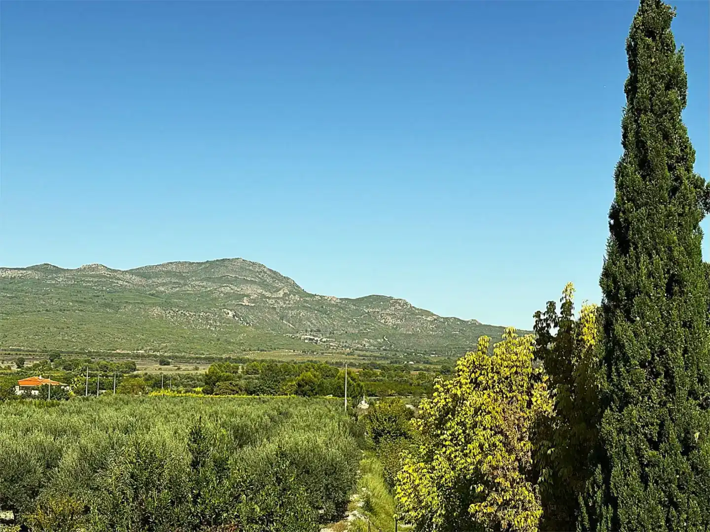 Finca rústica en venda a Camino Pieza de Navarro, 132, Moratalla