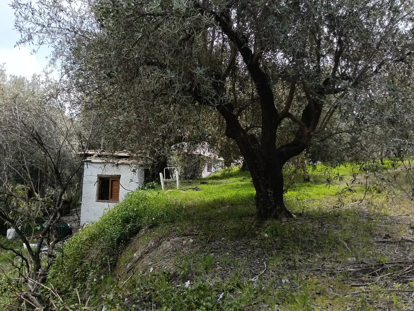Terreni e lotti in vendita a Alpujarra de la Sierra, imagen 10