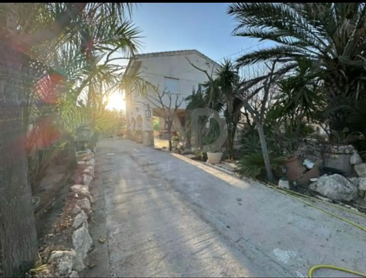 Land for sale in El Pino