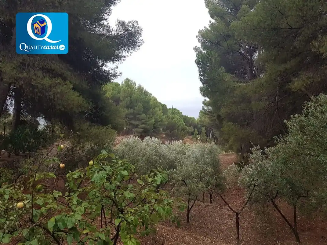 Villa à vendre à Onil, imagen 10