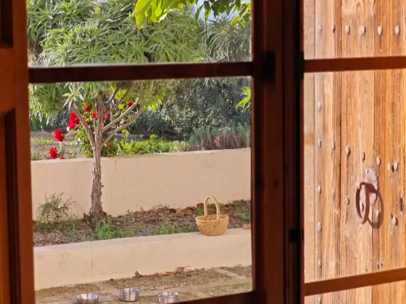 Landhaus mit Garten zum Verkauf in Diseminado Carretera Lloseta-inca 3A, imagen 17