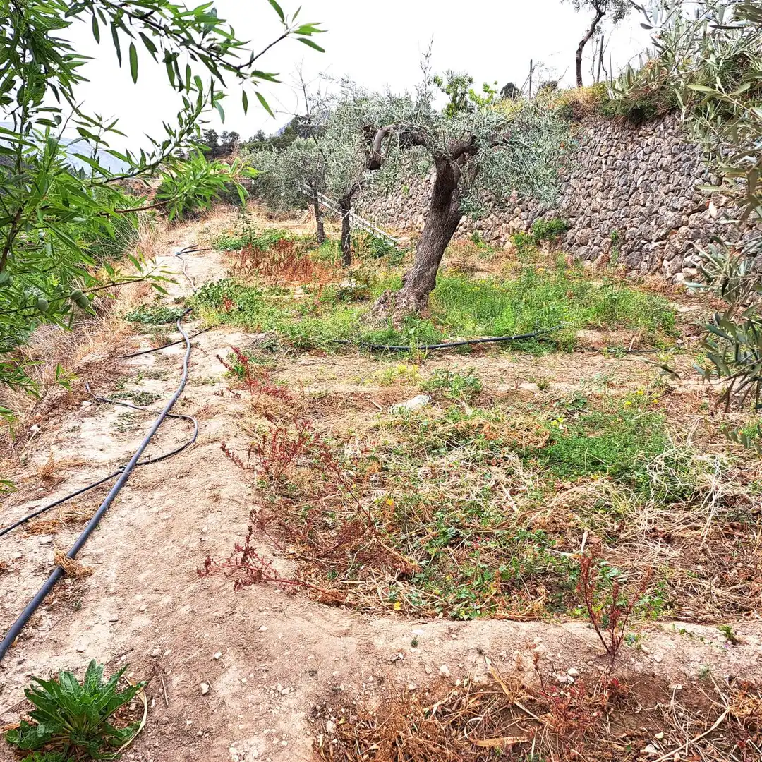 Finca rústica en venta en Sella