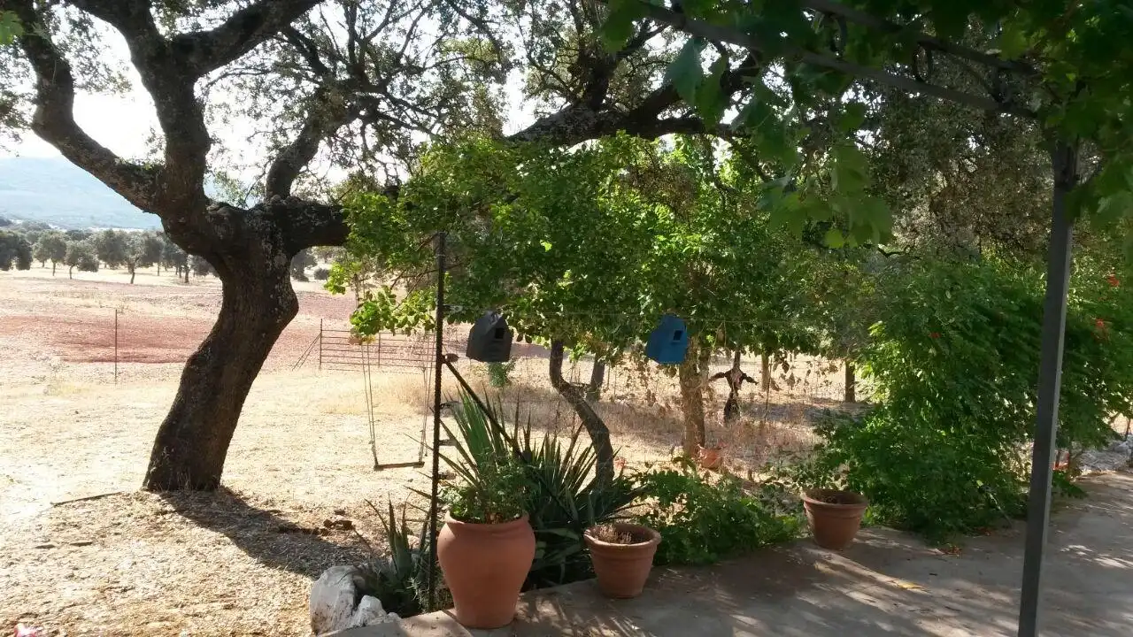 Casa rústica en venda a Almodóvar del Campo, imagen 32