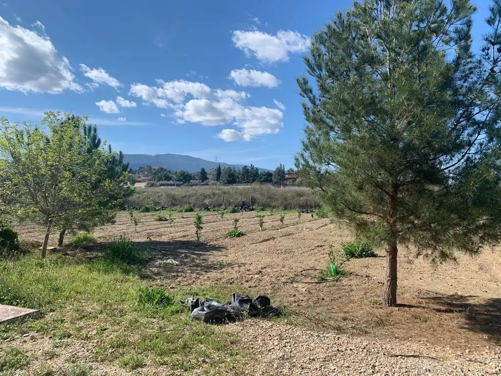 Casa o xalet en venda en Murcia amb Aire condicionat, Calefacció i Terrassa