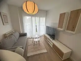 Sala d'estar de Apartament de lloguer en León Capital  amb Calefacció, Parquet i Terrassa