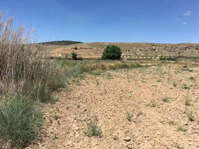Rural land for sale in Calle del Pozo del Concejo, imagen 6