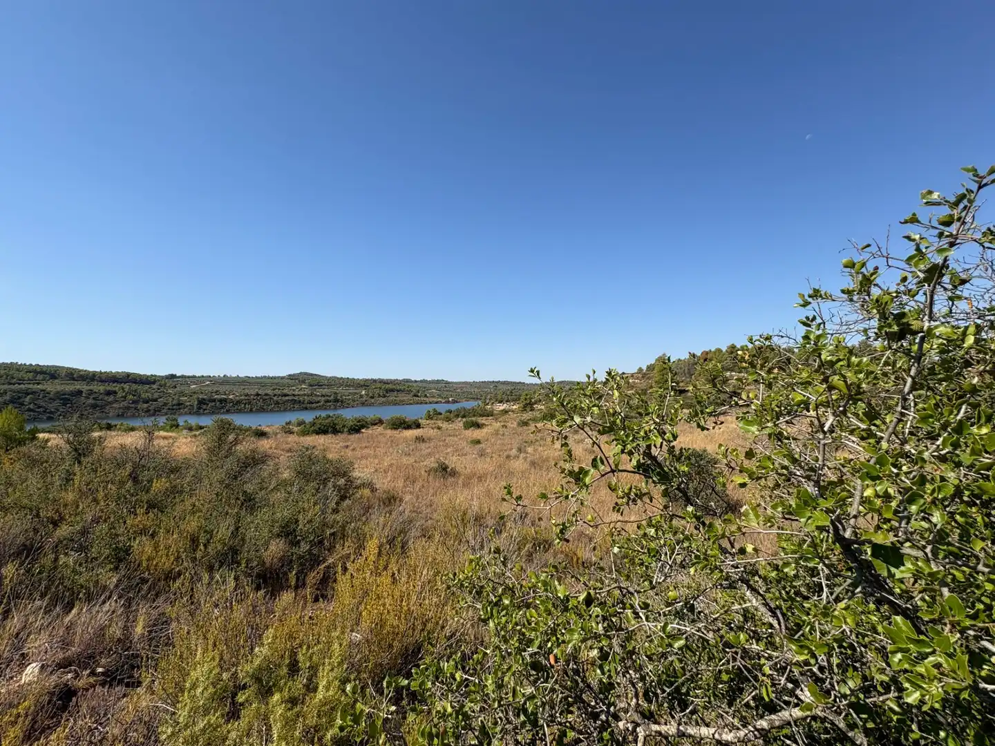 Terreno rustico in vendita a Cervià de Les Garrigues, imagen 3