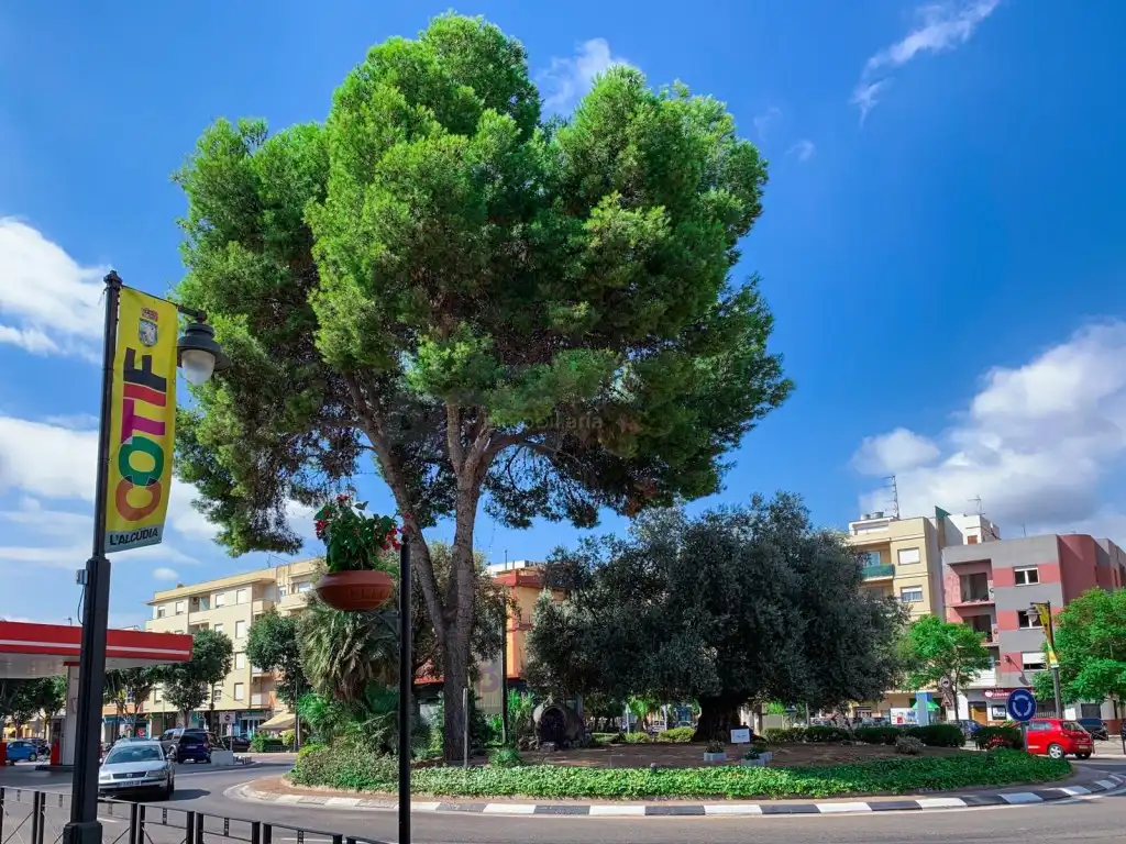 Terreny residencial en venda a L'Alcúdia