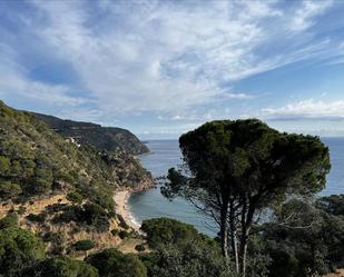 Vista exterior de Terreny en venda en Santa Cristina d'Aro