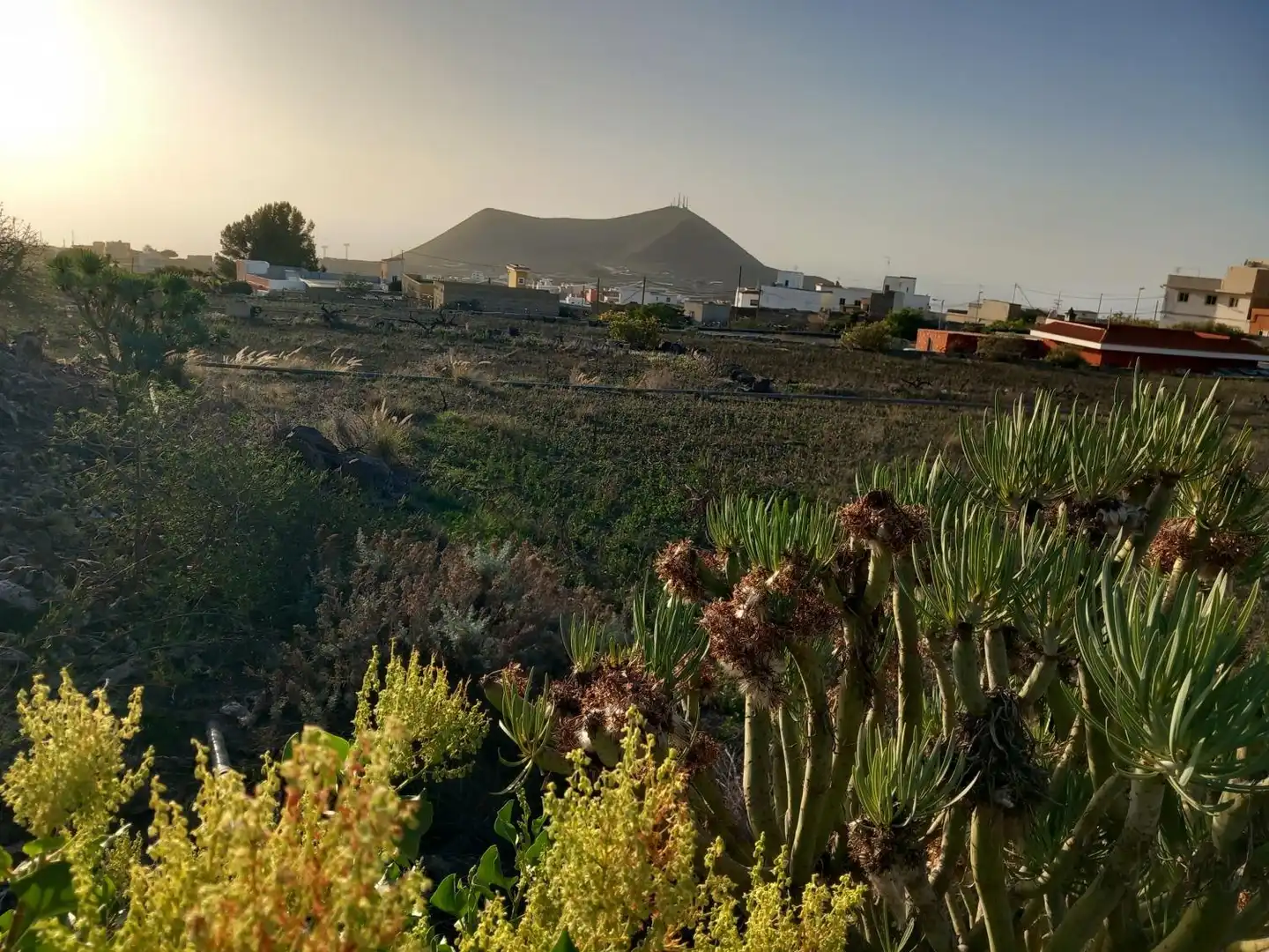 Exterior view of Residential for sale in Granadilla de Abona