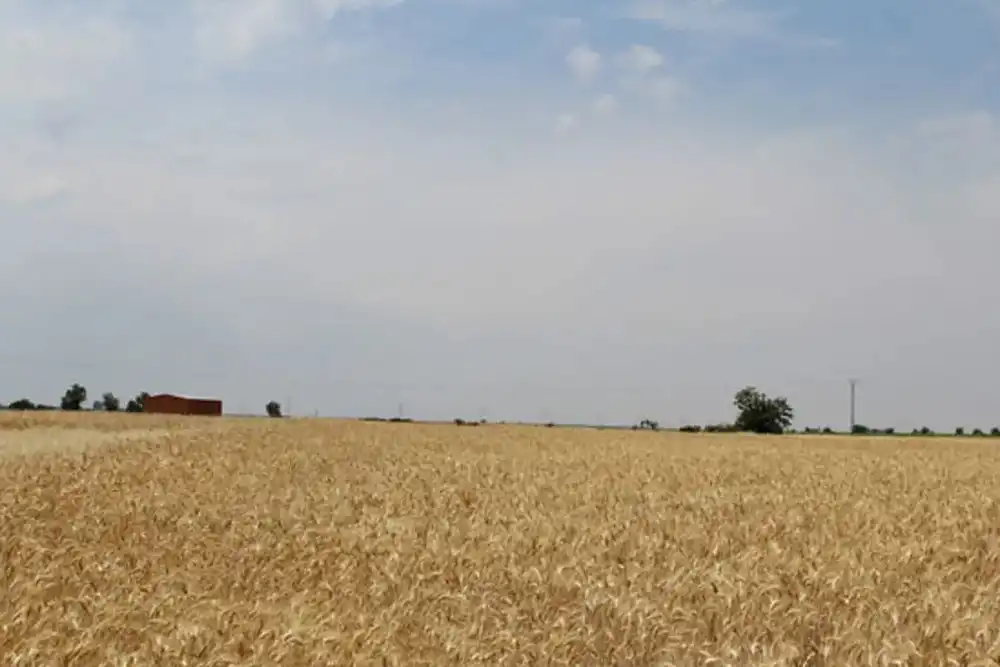 Terreni e lotti in vendita a Urbanización Ua 5-1, imagen 4