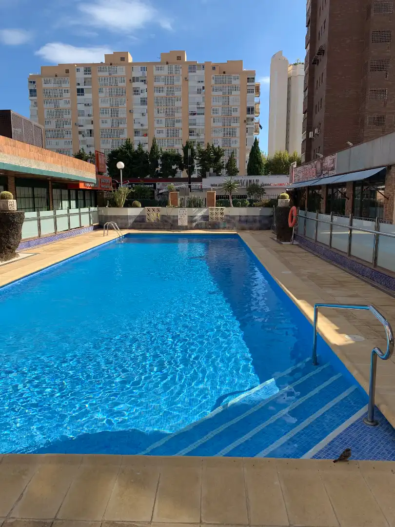 Schwimmbecken von Wohnungen zur Miete in Benidorm mit Klimaanlage, Heizung und Terrasse