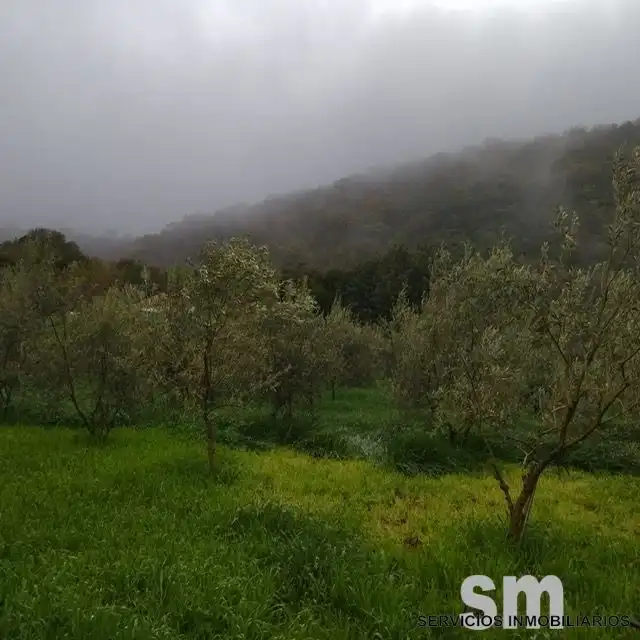 Terreni e lotti in vendita a Benaocaz, imagen 26