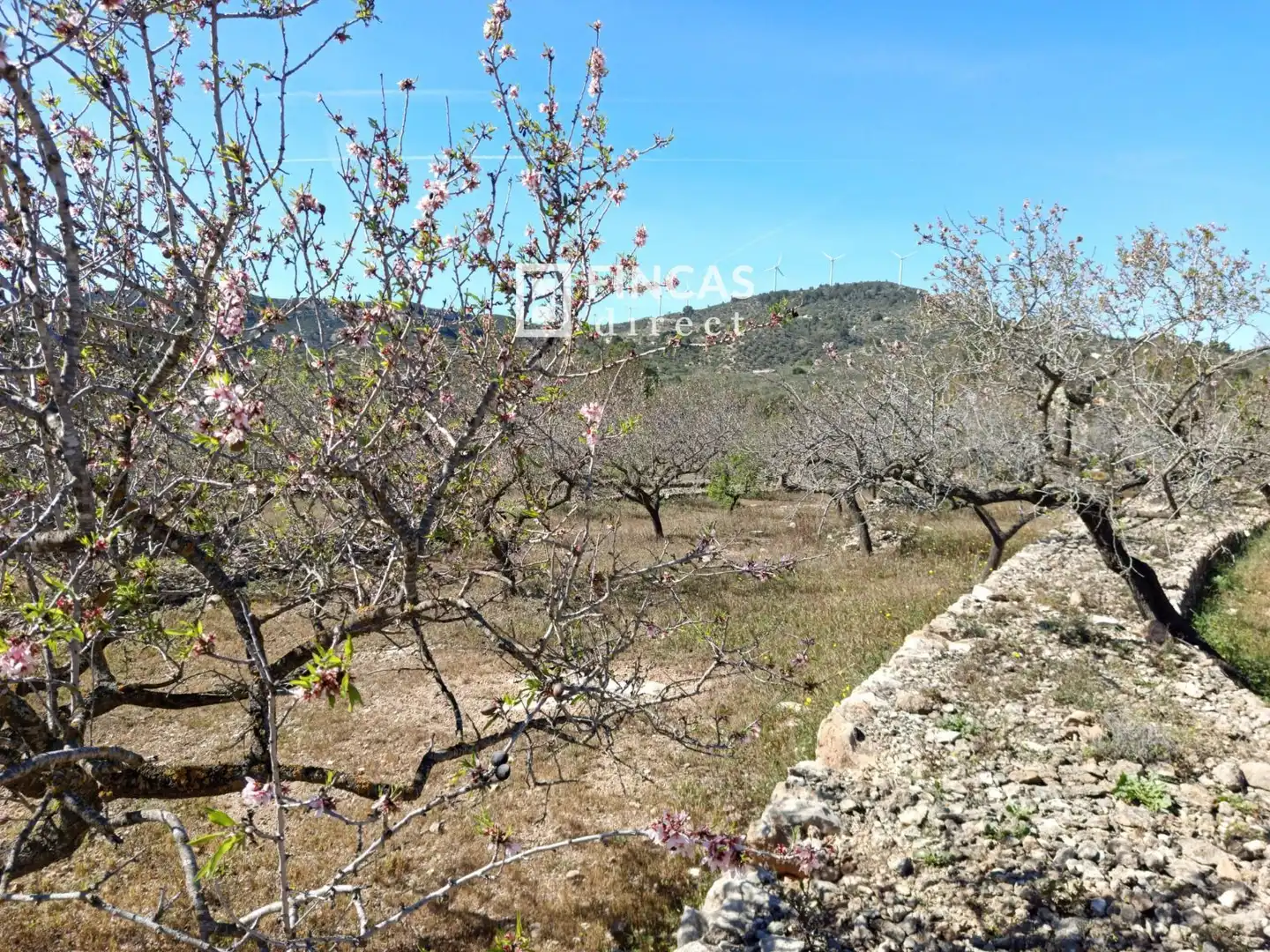 Landhaus zum Verkauf in RJGC+P9 Coll de l'Alba, imagen 29