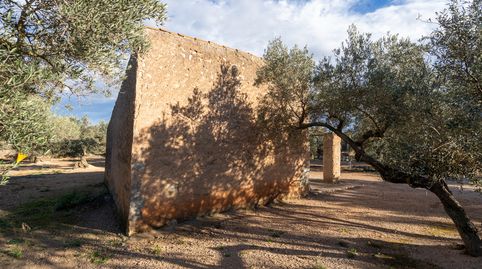 Finca rústica con casa de aperos, pozo propio y balsa de agua, immagine 3